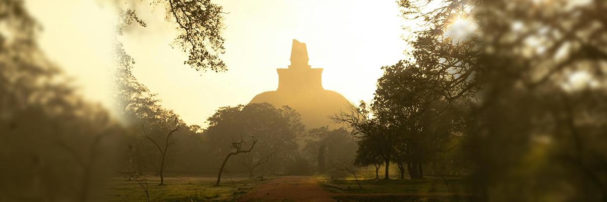 Sri Lankan Attractions 1